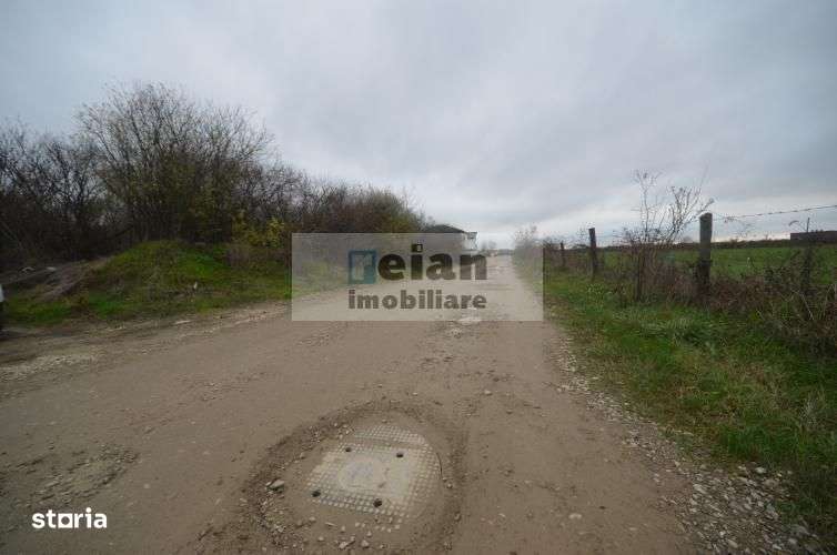 Mogosoia - Nichita Stanescu, Teren 3000mp, Deschidere 44ml, Utilitati-8