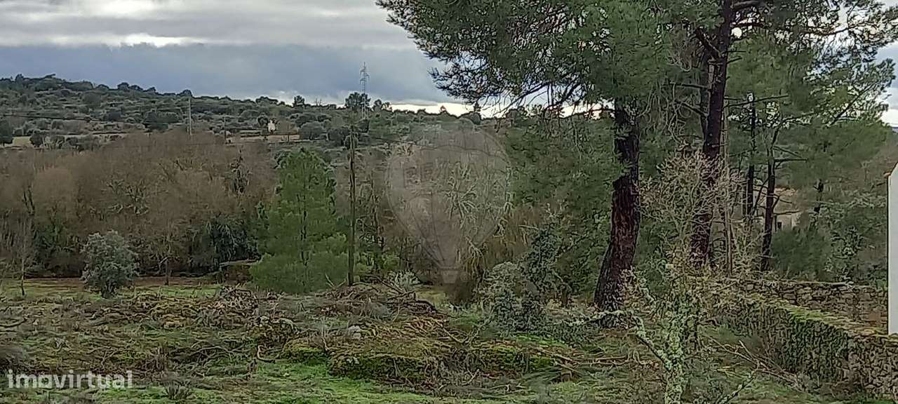 Quinta  para venda - Grande imagem: 4/28