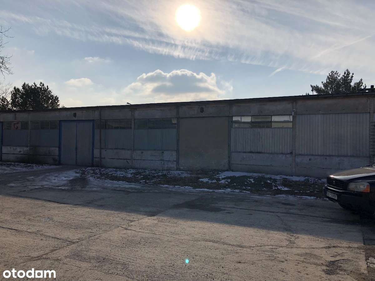 Hala 996 m², produkcja, magazyn, warsztat, Hurtownia, usługi - Pełny obrazek: 5/17