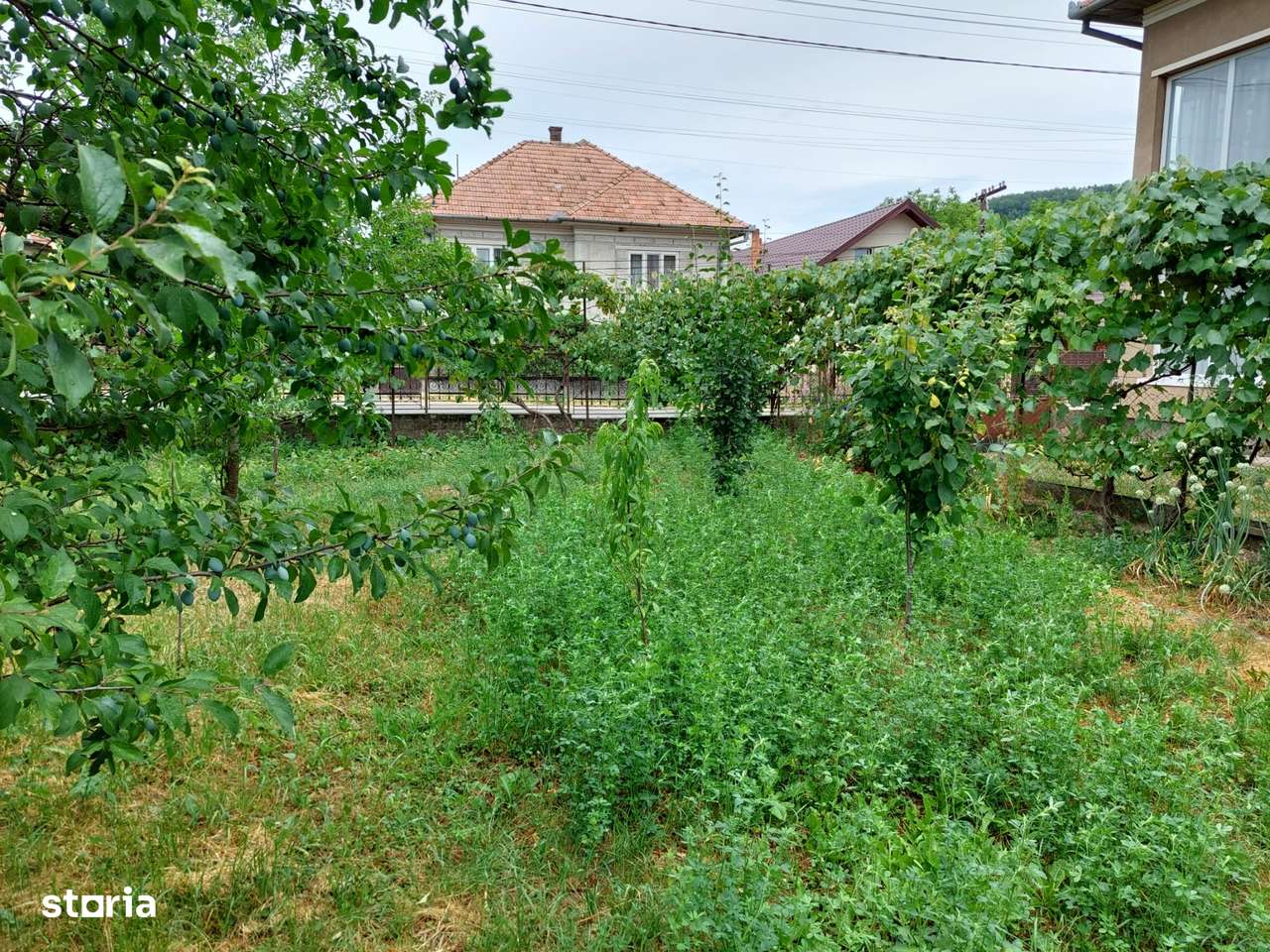 Vând Grădină de 2000 mp în Centrul Satului Cuzăplac la nr 249-7