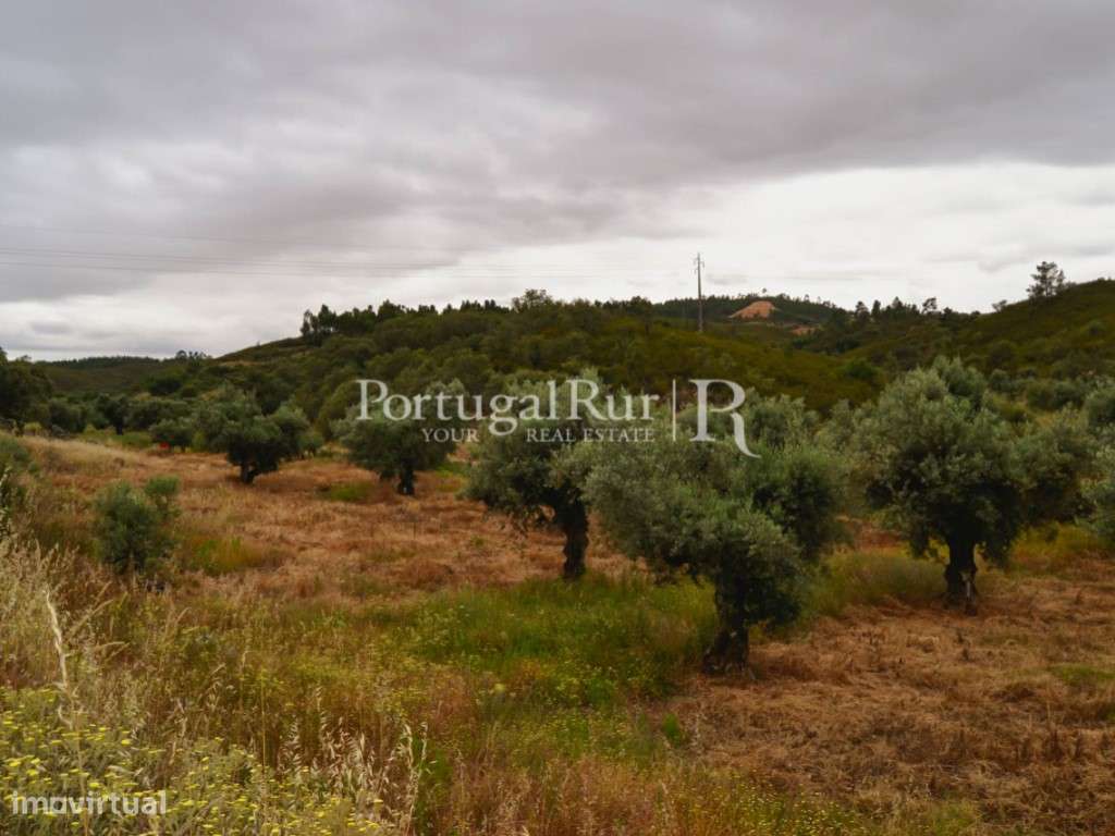 Terreno de 34.220m2 com ruína no Fratel - Grande imagem: 5/28