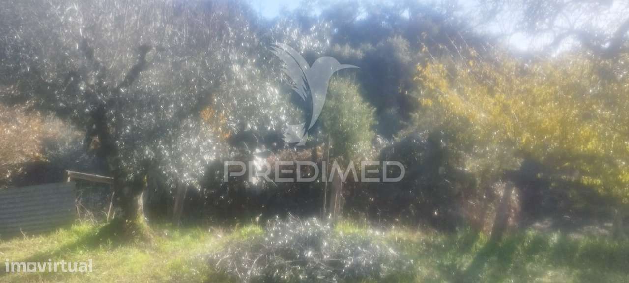 Quinta virada ao Castelo de Marvão - Grande imagem: 2/25