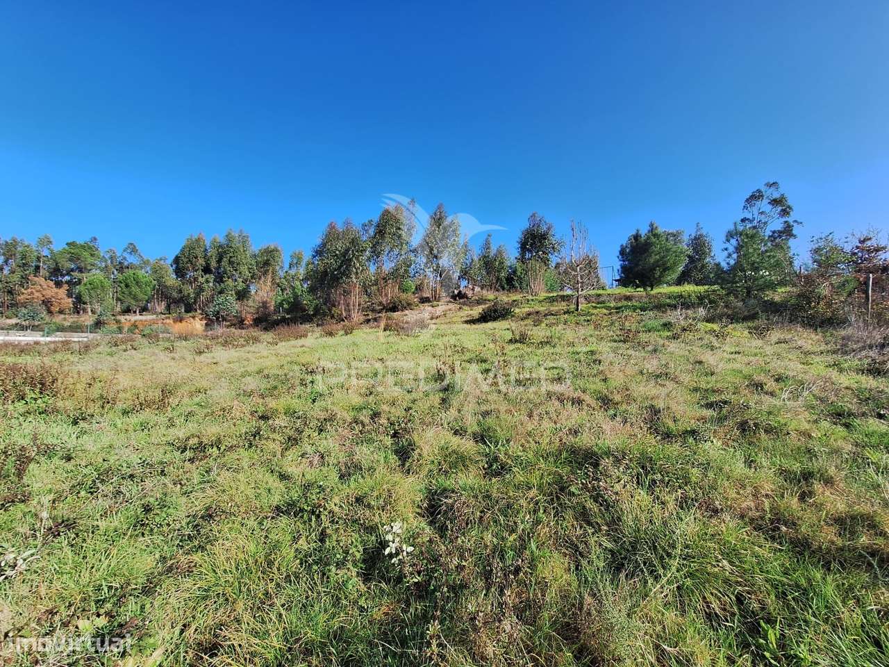 Terreno Rústico com parcela urbana, Casal Sentista, Torres Novas - Grande imagem: 5/24