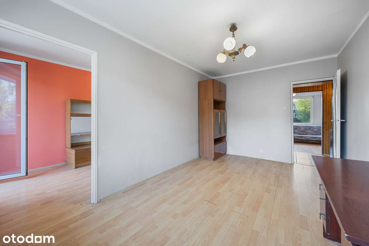 Jasna 8 — płótno pod Twój projekt - Pełny obrazek: 3/19