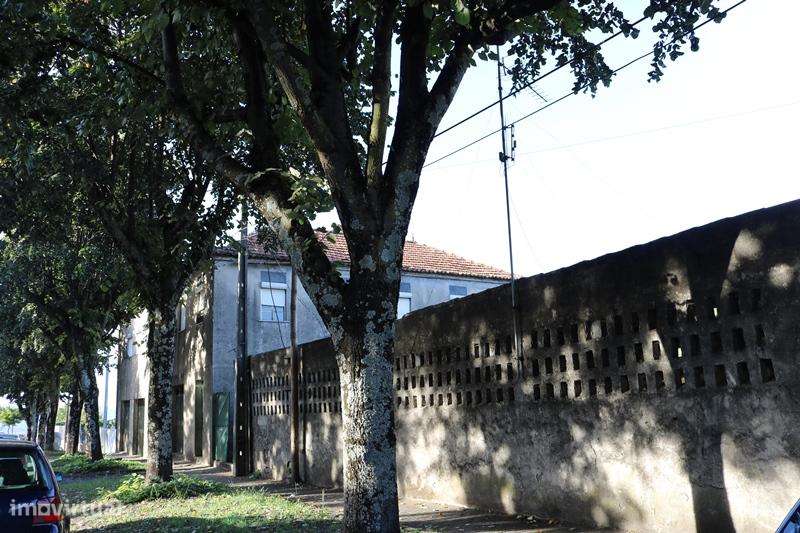 Propriedade c/ 1.800 m2 com  5  artigos urbanos em S. Vicente - Braga-24