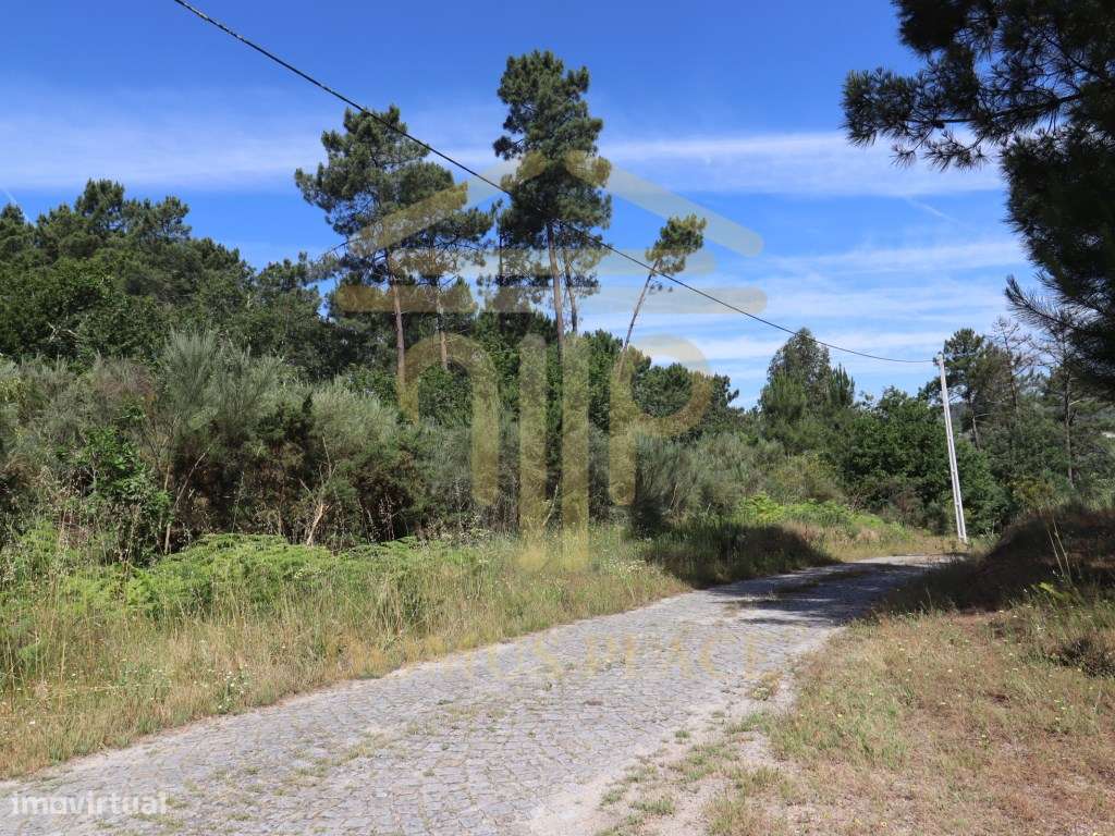 Terreno com 17.800 m², Casa para Reconstruir e mina de Água - Soalh...-22