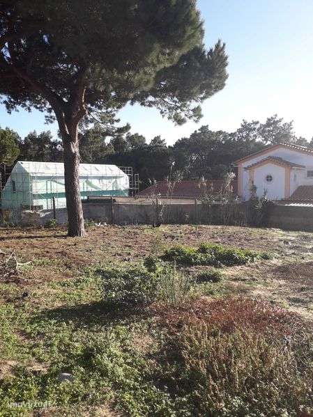 Terreno premium Sintra - Grande imagem: 4/6