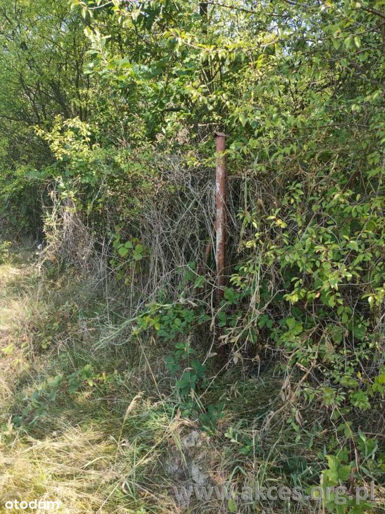 Jeziora g. Pniewy dzialka budowlana 2383m2 - Pełny obrazek: 5/8