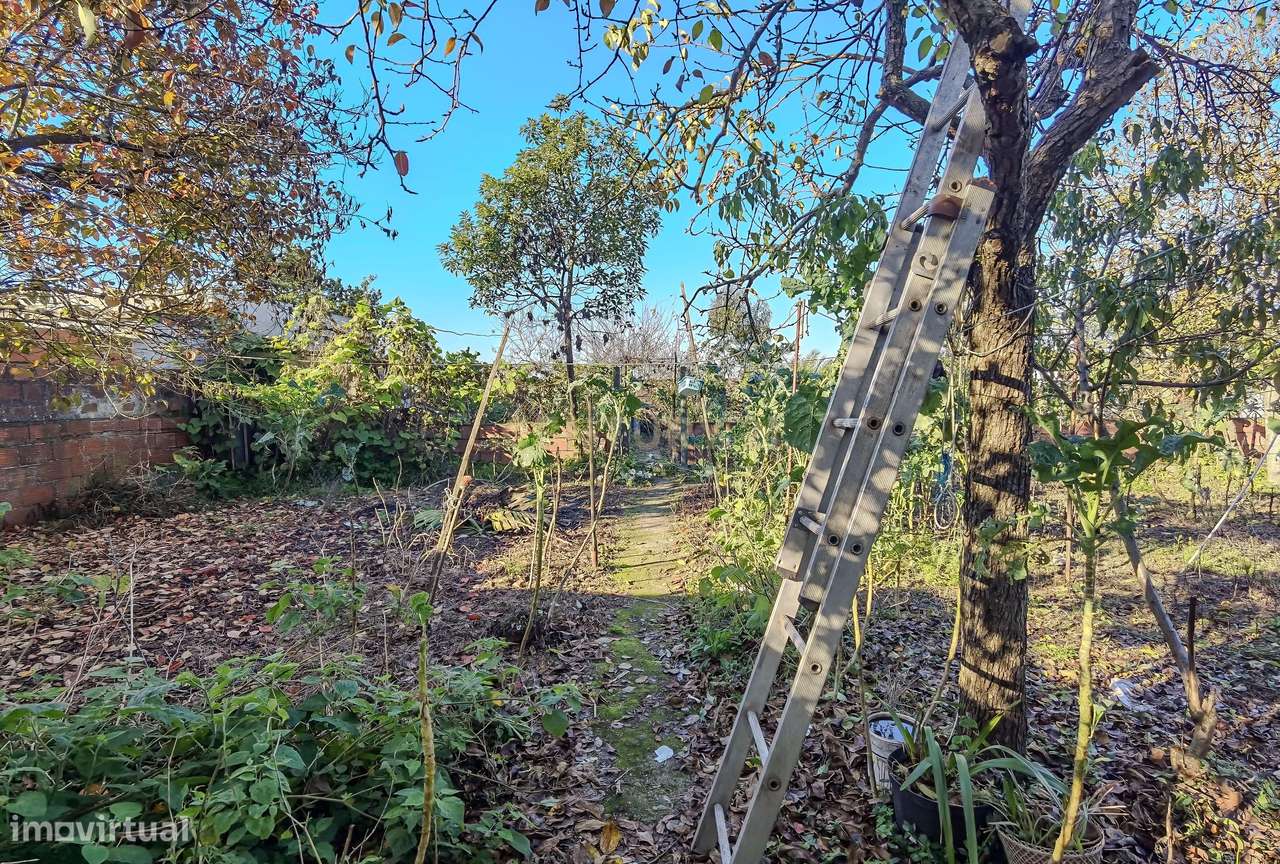 Moradia T4+1 em Pedra com Terreno de 1088m² em Pedrouços – Próxima ao-31