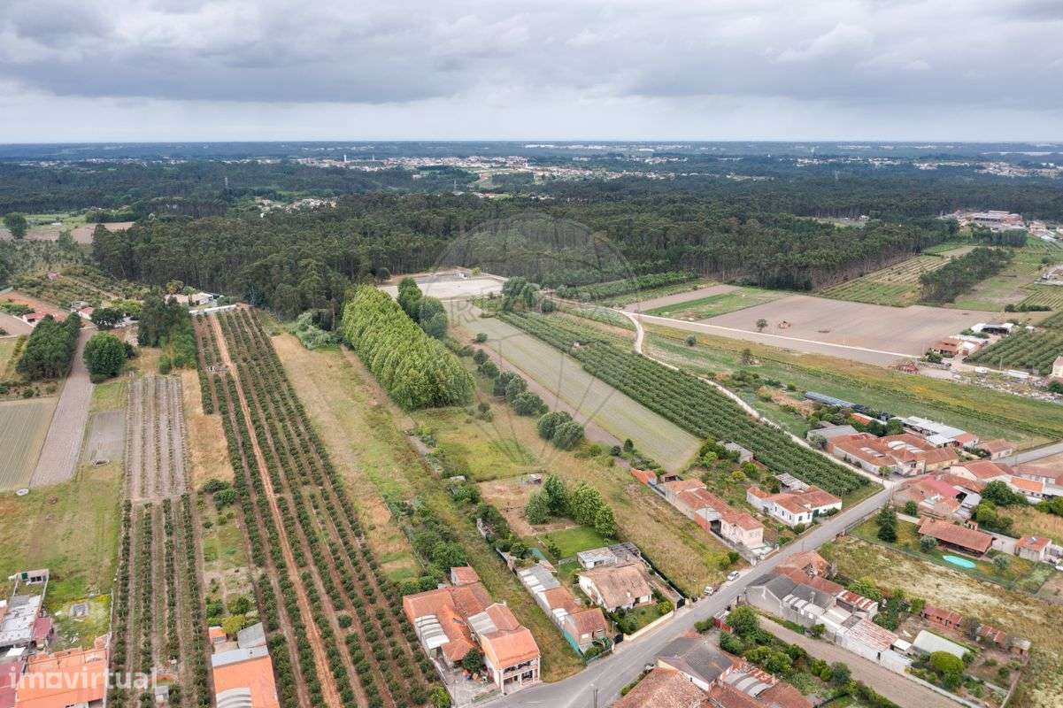 Terreno  para venda - Grande imagem: 4/8