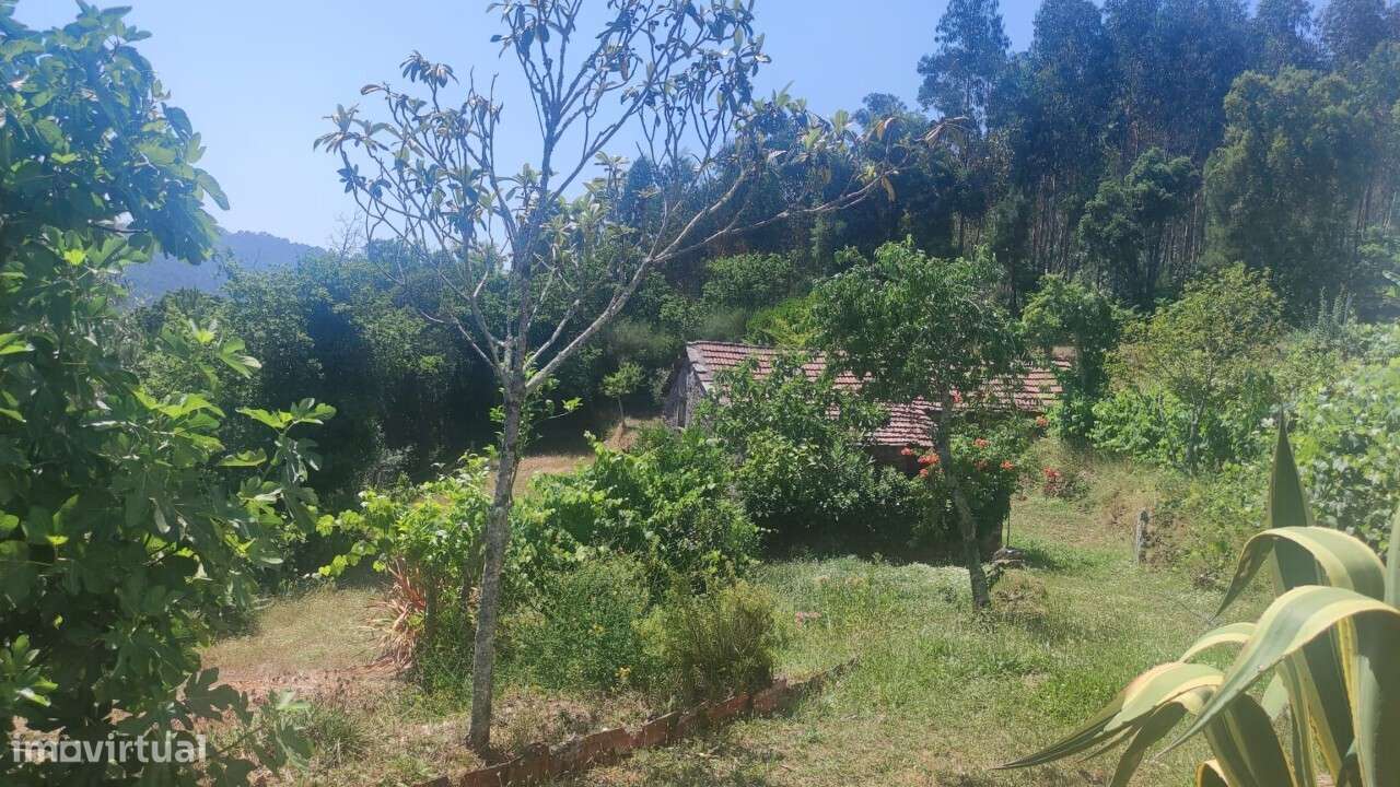 Casa/ Ruína em S. Miguel do Mato-15