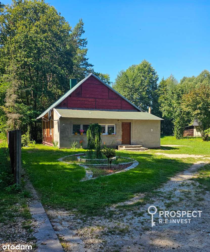 Dom, własny kawałek lasu, blisko rzeki, Pukarzów-14