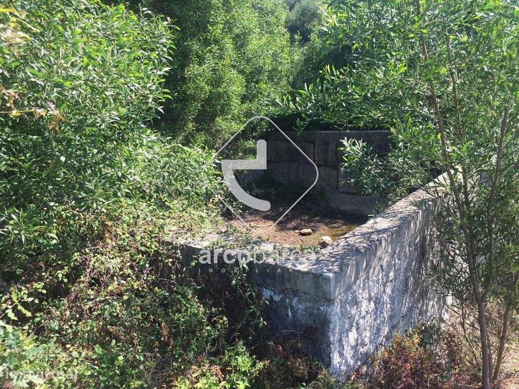 Quintinha ruinas p/restauro com 2520m2 - Moreira Lima - Ponte de Lima-29