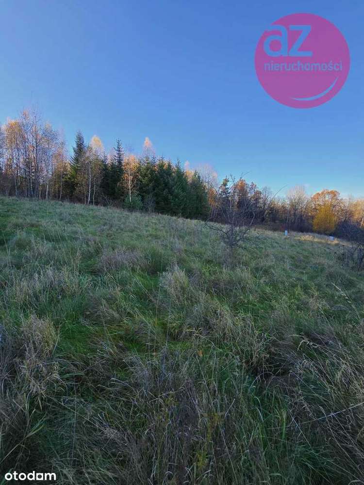 6 działek budowlanych w Stróżówce po 24a-10