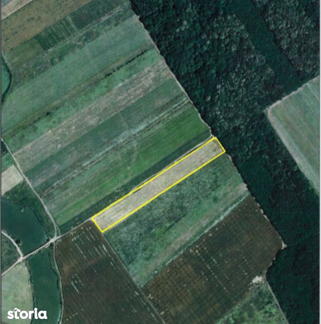 Teren agricol 19000 mp in Sindrilita Com. Ganeasa, Ilfov