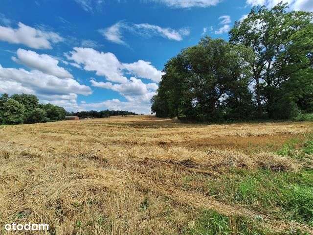 Działka, 4 240 m², Zglinna Duża-10