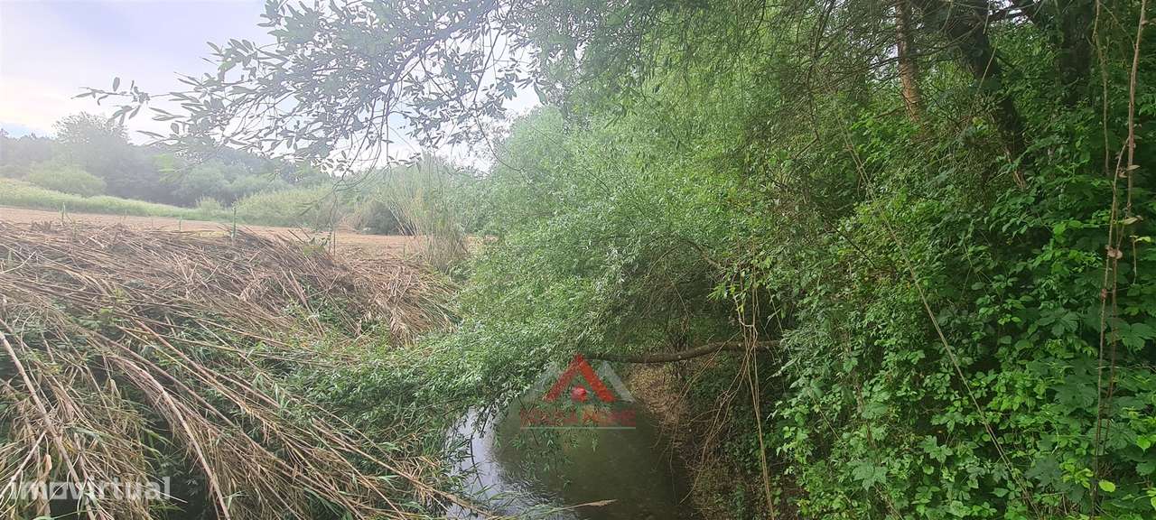 Quintinha c/ Frente para o Rio Lena - Grande imagem: 5/9