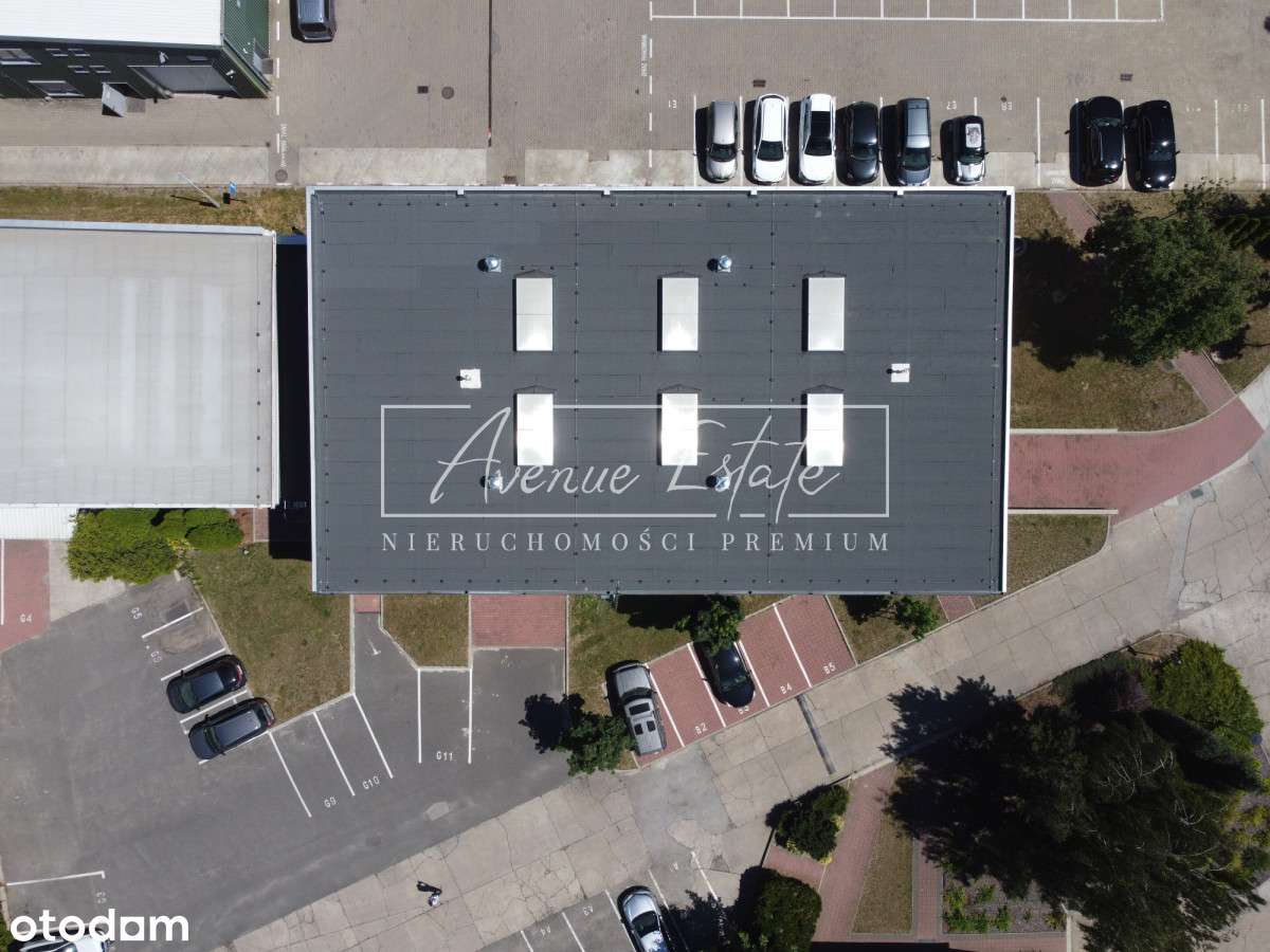 Magazyn z rampą i dokiem / 509 m² / 11 m wysokości - Pełny obrazek: 2/7