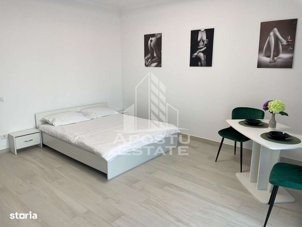 Apartament cu 1 camera mobilat si utilat in Giroc la asfalt. - Imagine principală: 2/4