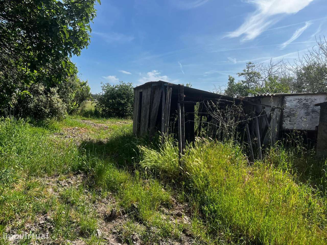Terreno com 5000m2, com casa para restaurar - Granho Novo Marinhais...-3