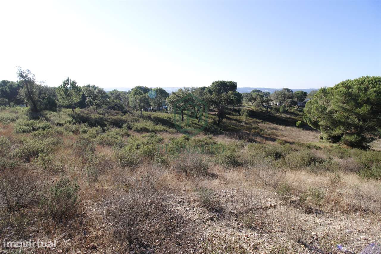 Terreno Rústico  Venda em Mora,Mora-10