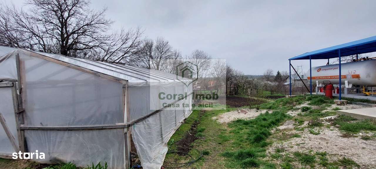 Vanzare Statie GPL Auto, Giurgiu-4