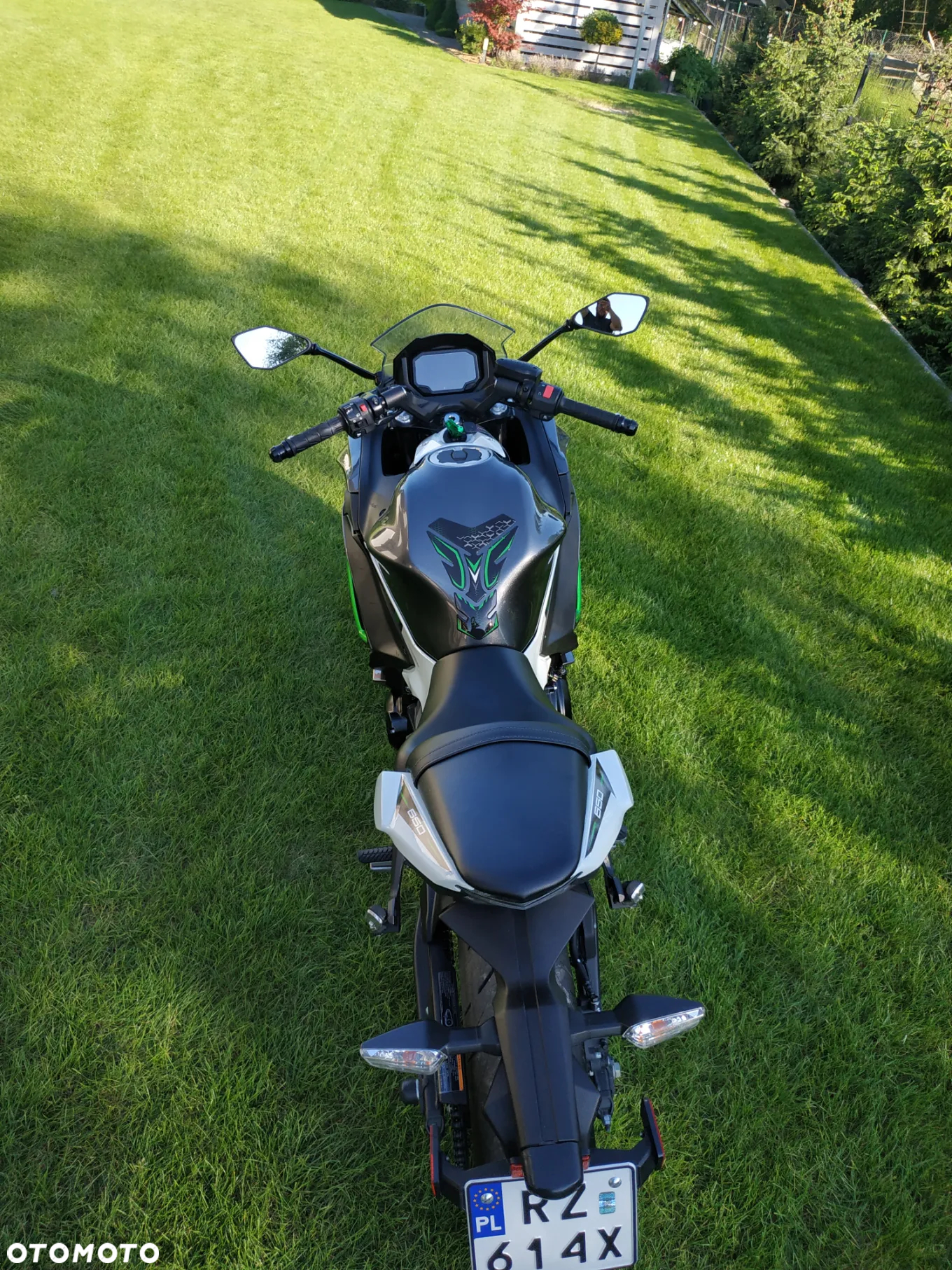 Kawasaki Ninja - 10