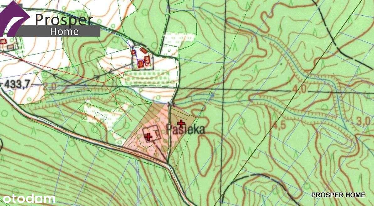 Magiczna działka w lesie ze strumykiem!!! - Pełny obrazek: 4/7