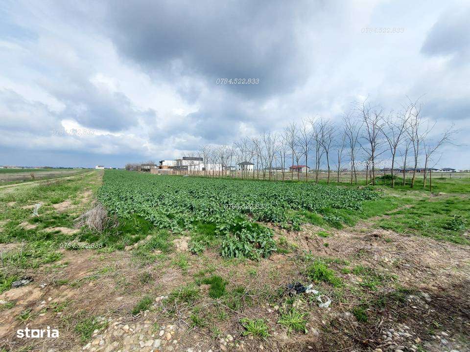 Teren intravilan 442 m² –  utilități incluse, Berceni IF - Imagine principală: 4/8