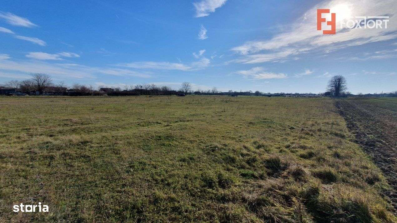 Teren intravilan 665 mp cu Puz aprobat - Padureni - Imagine principală: 3/7