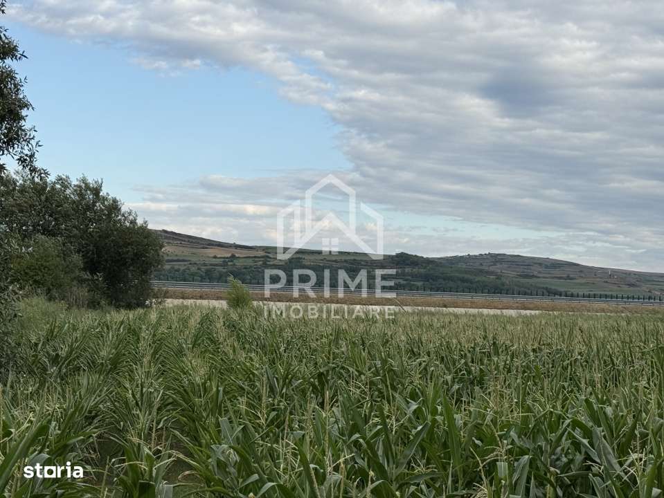 Teren agricol extravilan in zona DNCALB-A10 - Imagine principală: 5/8