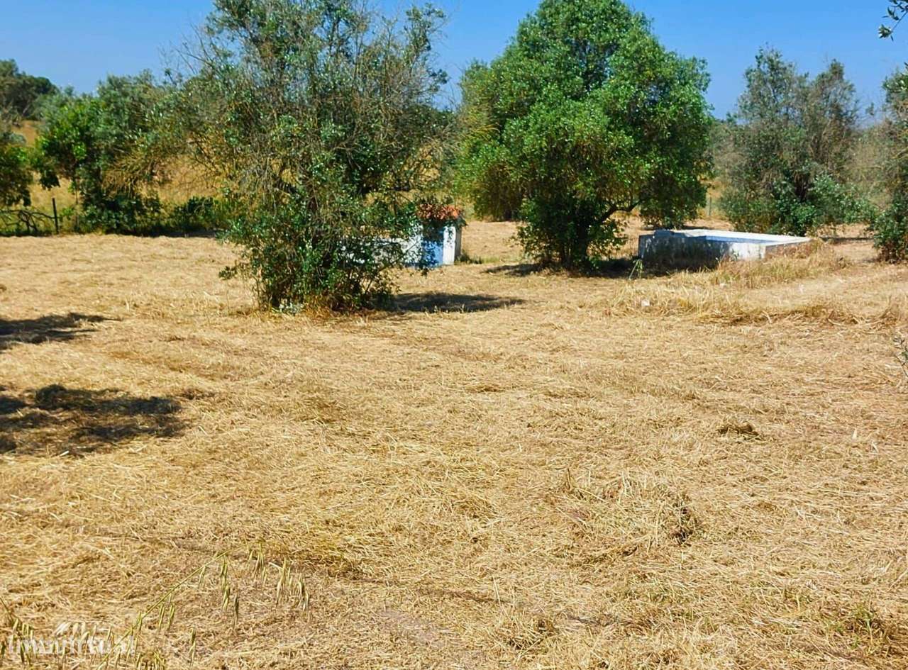 Moradia T2 com Terreno de 5.500 m² – Courela da Cruz, Pavia - Grande imagem: 4/16