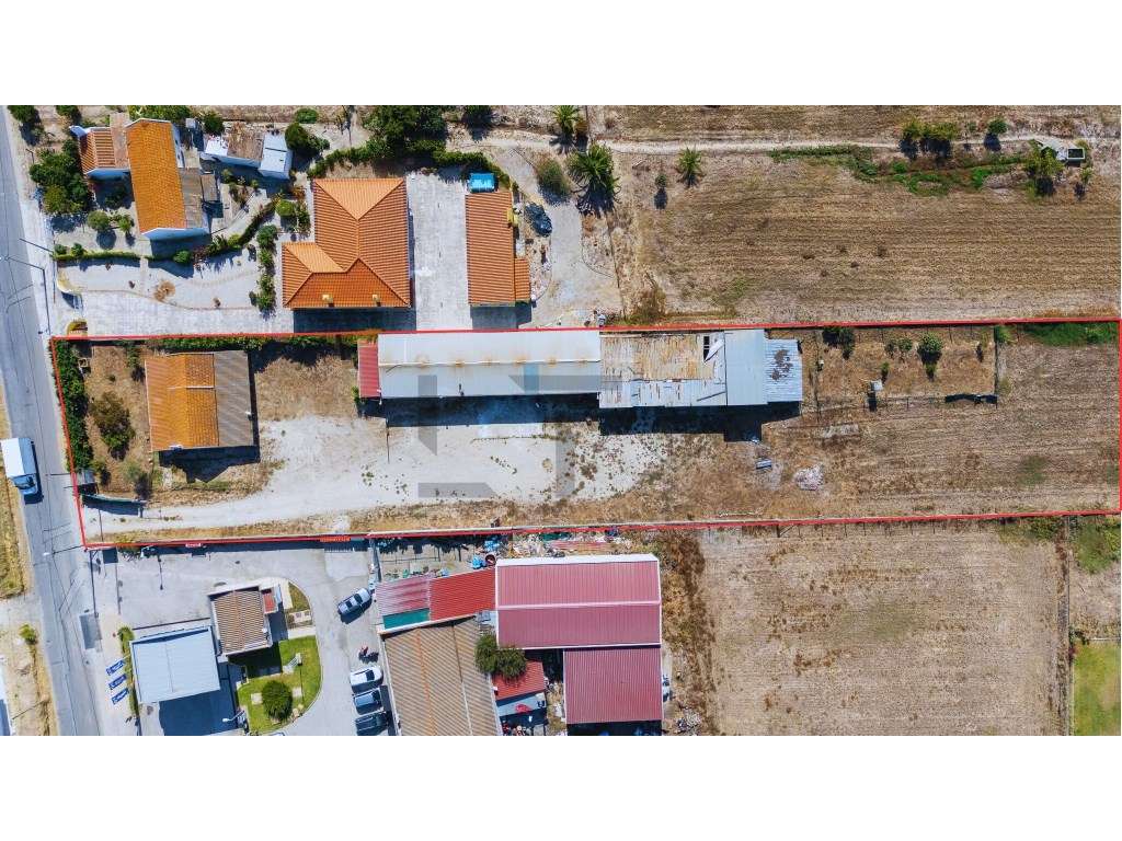 Terreno Misto com Viabilidade de Construção e Ótimos Acessos, para ... - Grande imagem: 5/11