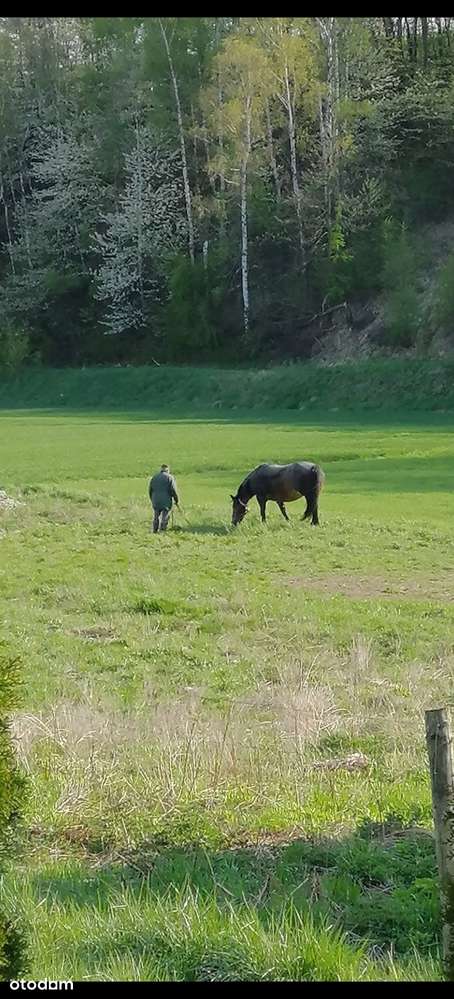 Dom na działce 33a Pozwolenie na budowę z Projektem Nowego Domu-14