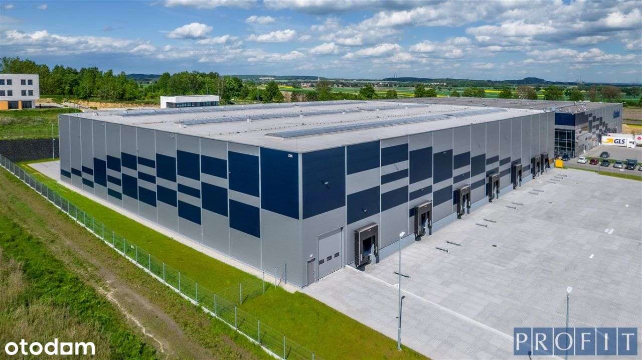 667m2 magazyn +46m2 biuro ,toaleta dok,poziom 0 - Pełny obrazek: 4/12