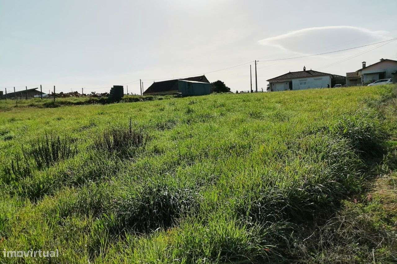 Terreno em Amoreira da Gândara | ERA Imobiliária - Grande imagem: 5/9