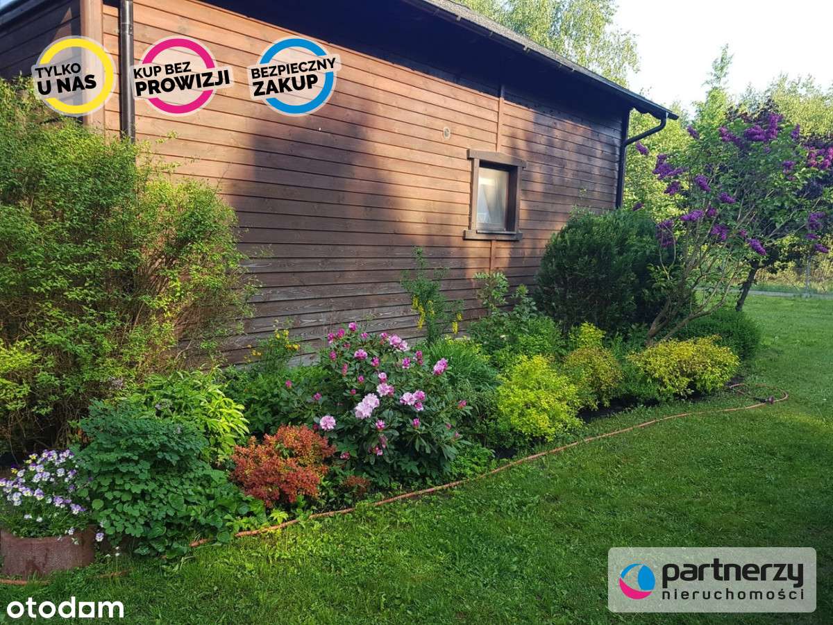 1,5 ha Bory Tucholskie! Dom całoroczny + 2 domki!-4