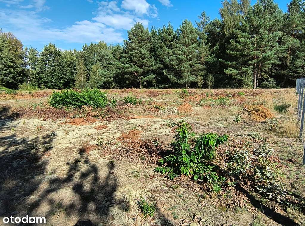 Działka budowlana Drawski Młyn (gm. Drawsko), warunki zabudowy-0