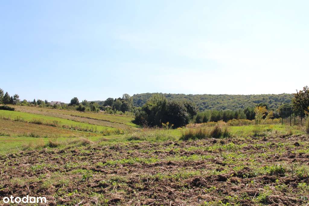Działka budowlano - rolna przy Parku Ojcowskim-4