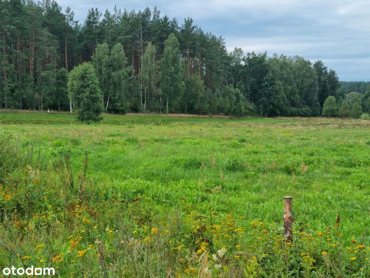 Wielka Piaśnica- budowlana z PNB.-7