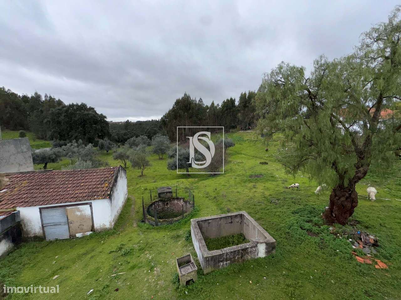 Quintinha em Malpique, Santa Margarida da Coutada-24