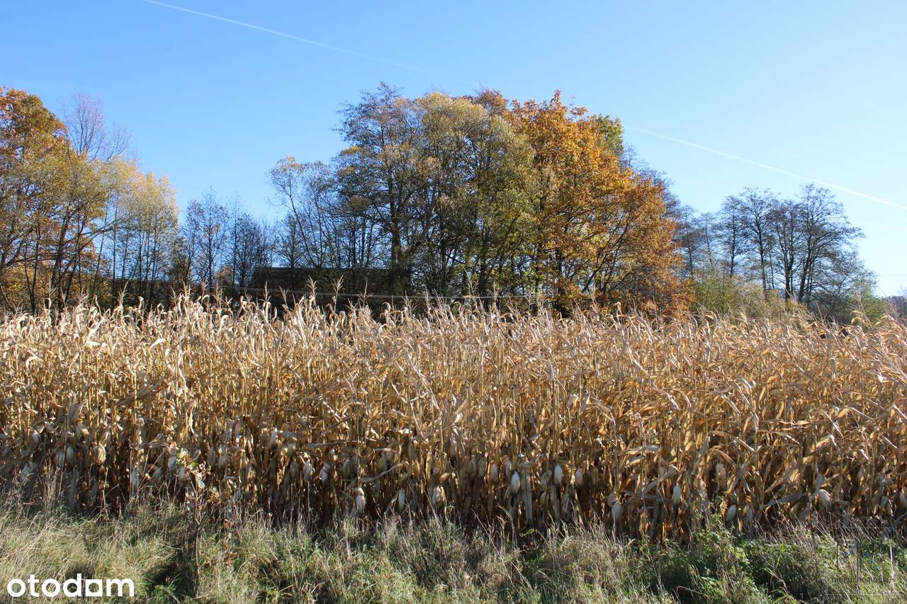 Kierlikówka - działka budowlano-rolna w spokojnej okolicy.-8