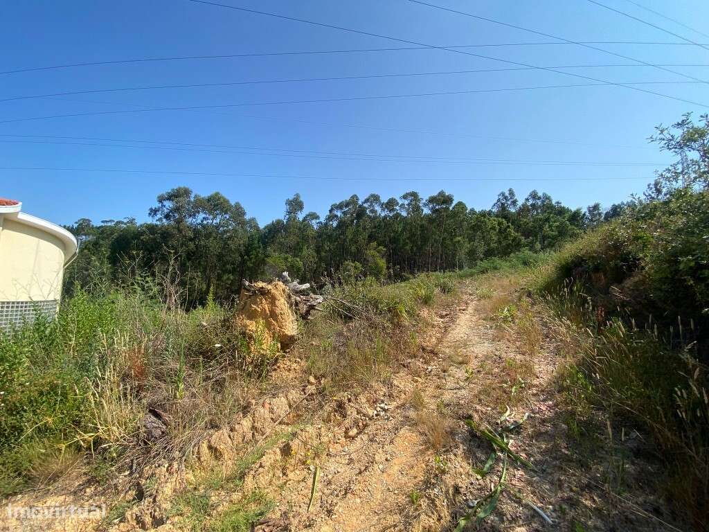 Terreno Albergaria - Grande imagem: 4/4