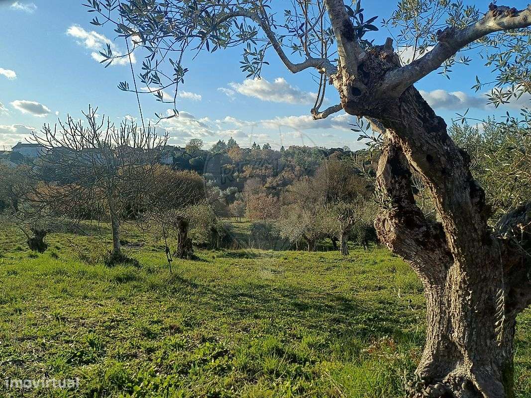 Terreno  para venda - Grande imagem: 5/25