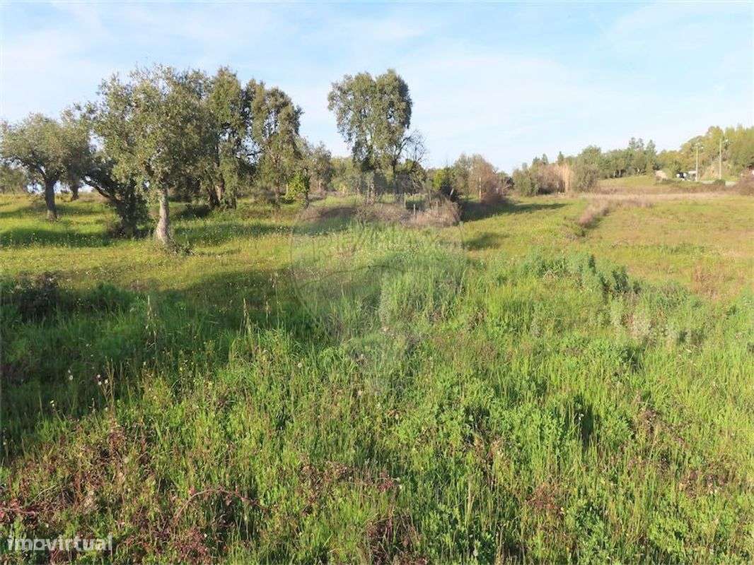 Quinta  para venda - Grande imagem: 4/30