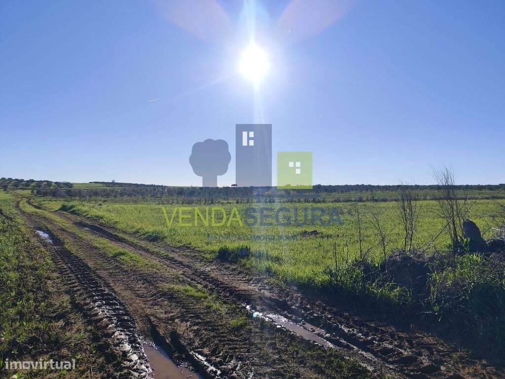 Terreno Rústico 0,325 Ha | Santo Amador - Grande imagem: 2/3