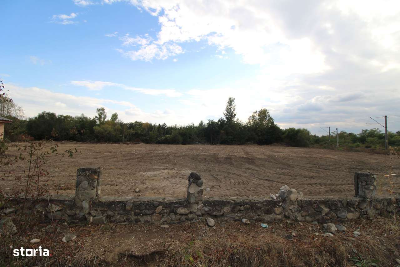 Parcela teren intravilan, 3169mp,  Tetila - Imagine principală: 2/6