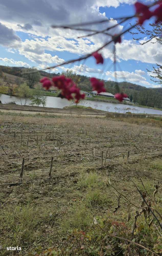 Teren intravilan în Mediaș, lângă Heleșteu-4
