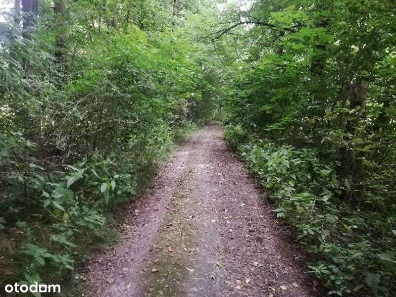 Mnich, działka budowlana, zaciszne miejsce, potok - Pełny obrazek: 4/6
