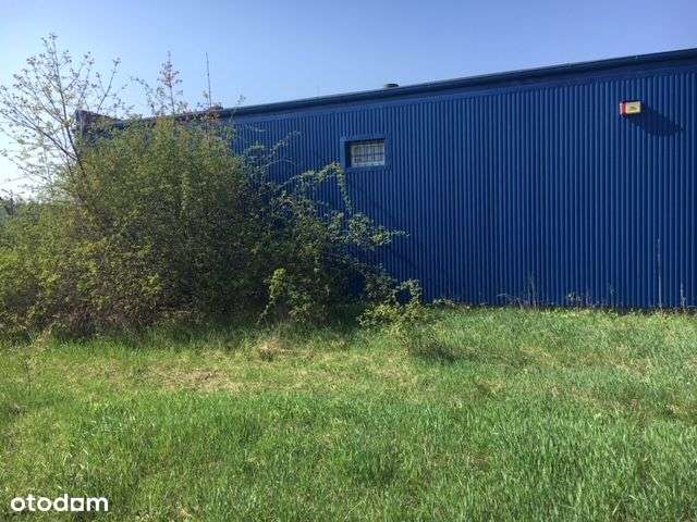 Rzepin ul. Hanki Sawickiej - Pełny obrazek: 4/8